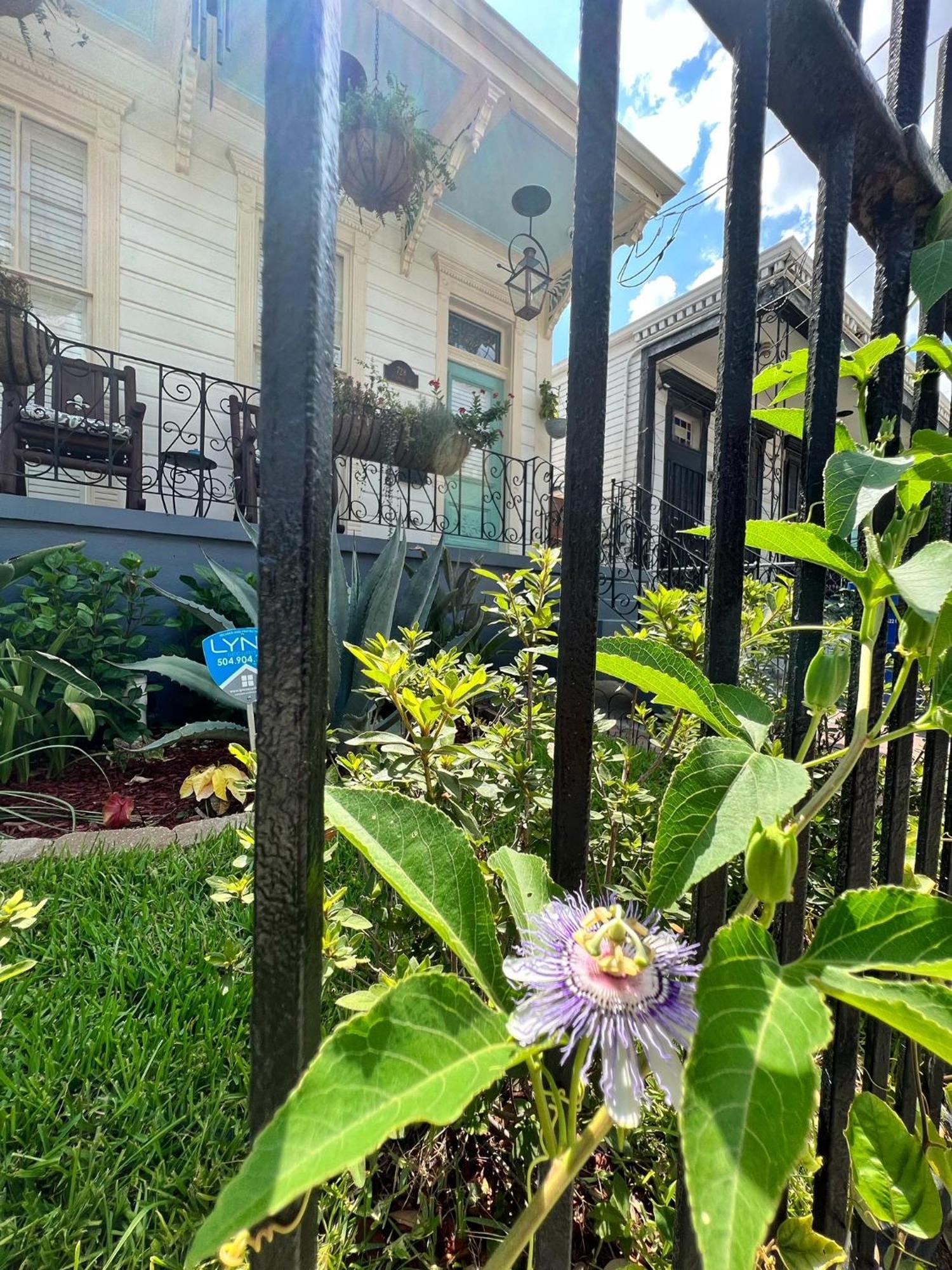 Luxury Historic Shotgun Home In Lower Garden District Νέα Ορλεάνη Εξωτερικό φωτογραφία